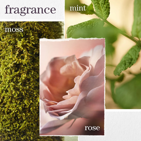 Hydrate & Glow Ultimate Hair Care Set