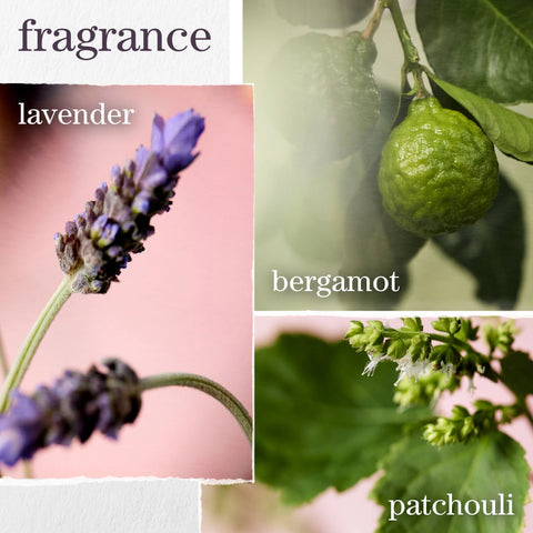 Hydrate Must Have Hydration Set