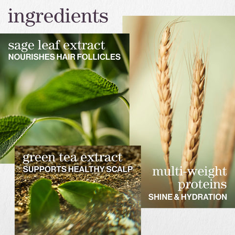 Hydrate & Glow Ultimate Hair Care Set