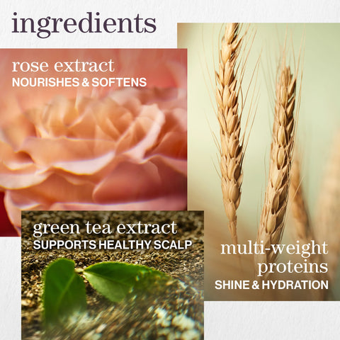 Hydrate Must Have Hydration Set