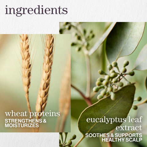 Hydrate Sheer Shampoo and Conditioner Duo: Silicone-Free Lightweight Moisturizer for Fine Hair