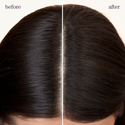 Style + Protect Refresh & Go Dry Shampoo